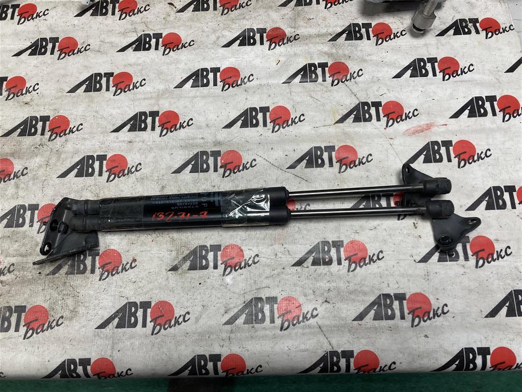 NISSAN LEAF AZE0 для Амортизатор двери задка ПАРА