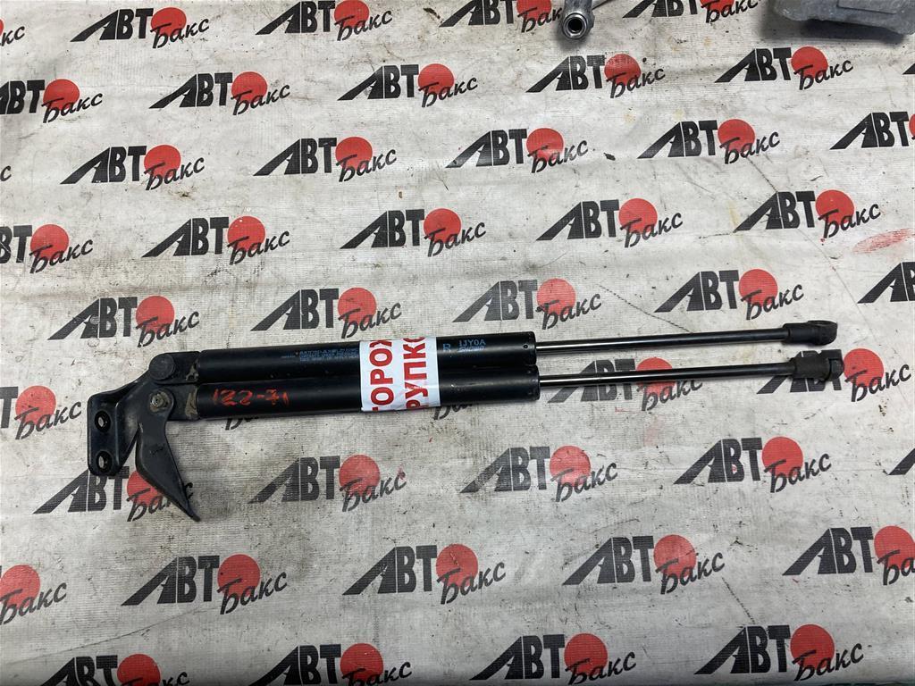 NISSAN TIIDA C11/SC11 для Амортизатор двери задка ПАРА