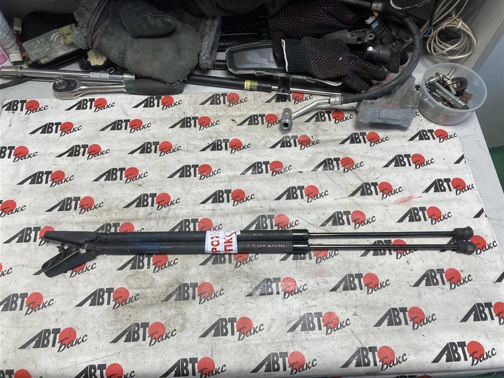 NISSAN NOTE E12/HE12/NE12/SNE12 для Амортизатор двери задка ПАРА
