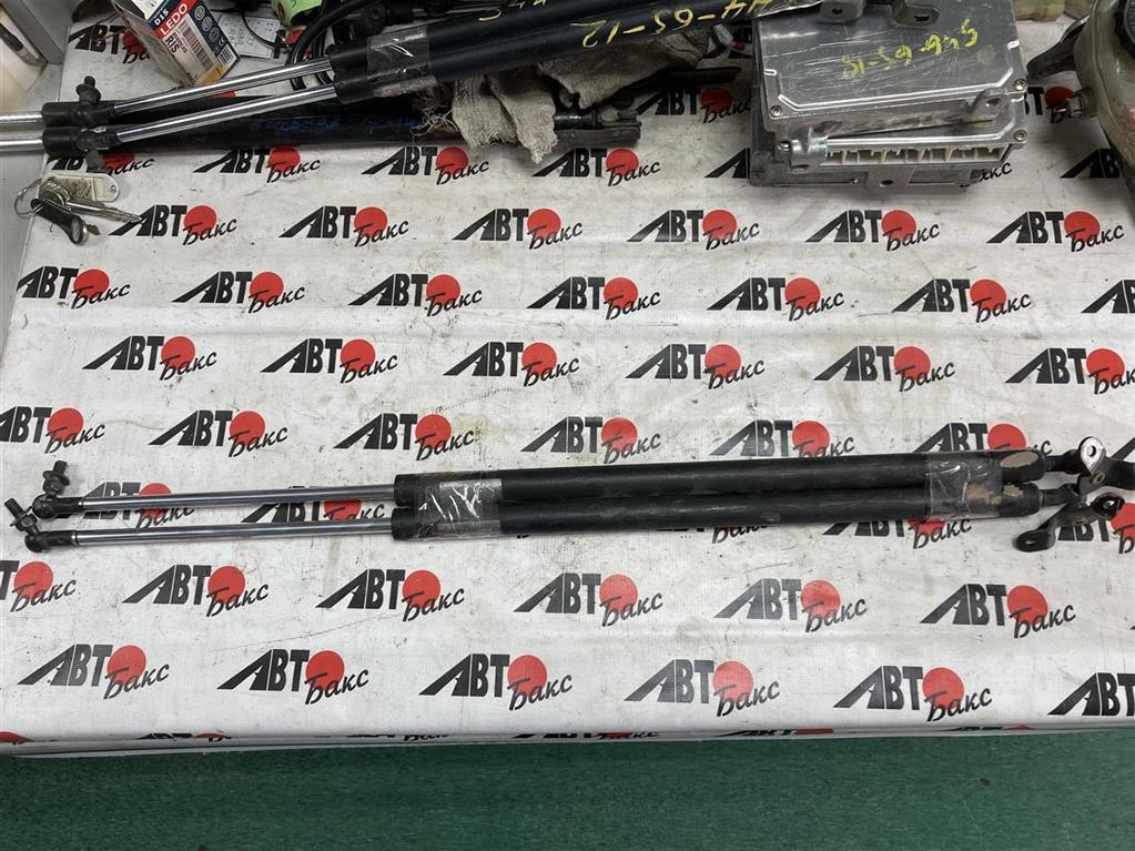 HONDA STREAM RN1/RN2/RN3/RN4/RN5 для Амортизатор двери задка