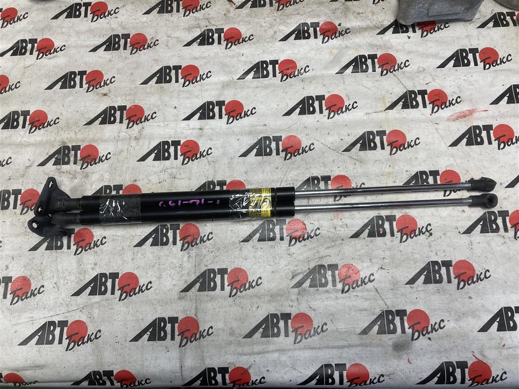 TOYOTA AQUA NHP10 для Упоры задней двери 2 шт