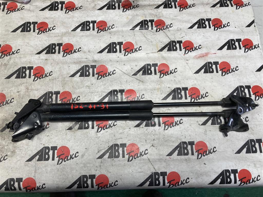 NISSAN LEAF AZE0 для Упоры задней двери 2 шт