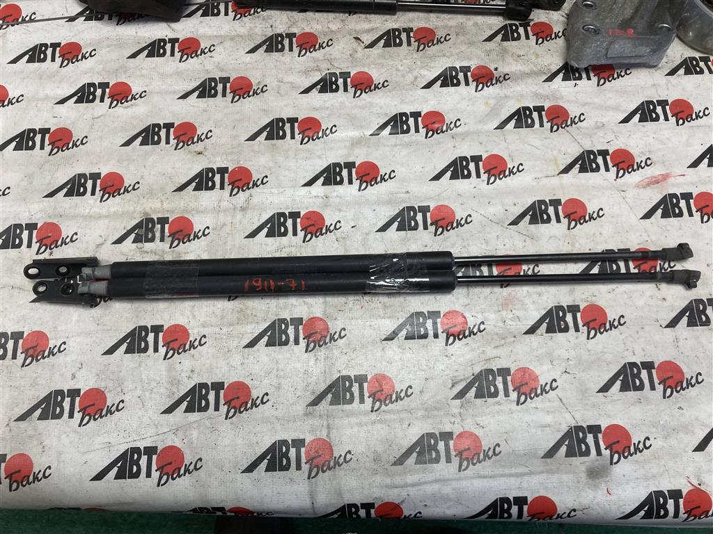 NISSAN X-TRAIL T31 для Упоры задней двери 2 шт