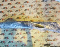 Ветровики для HONDA ODYSSEY RB1/RB2  запчасти бу